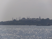 �D���猩���C�X�^���u�[�����j�n��